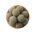 ArmyGreen Beads