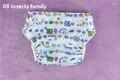 08 insects family