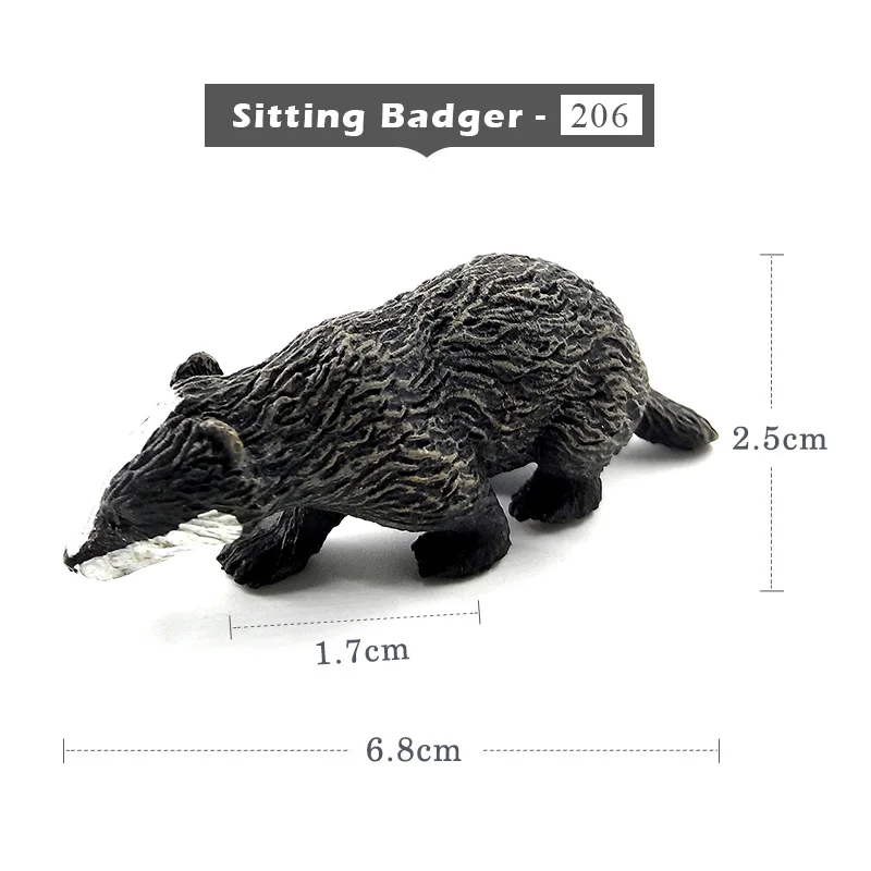 Sitting Badger -206