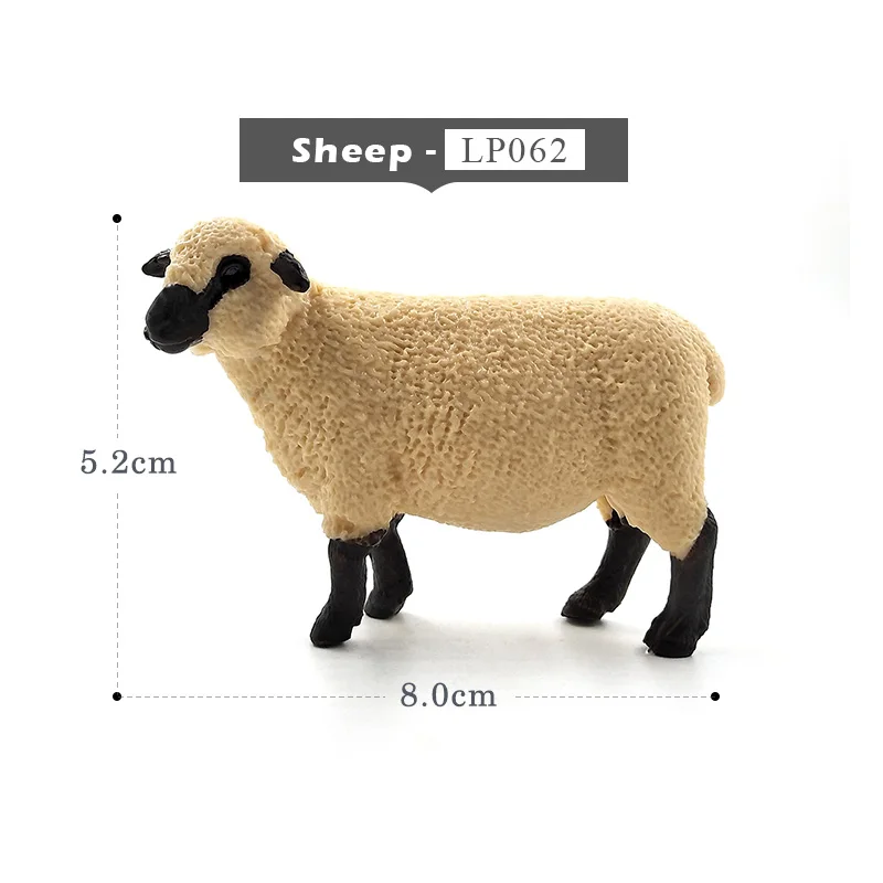 Sheep