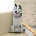 50cm