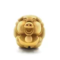 Lucky pig