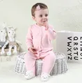 pink bunny