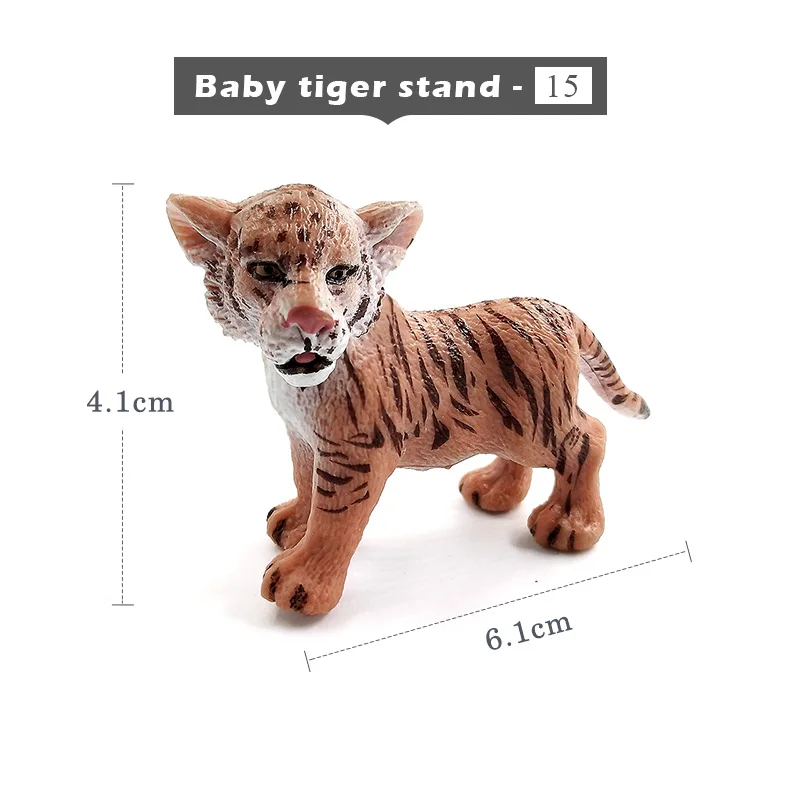 Baby-tiger-stand