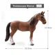 Tennessee Horse