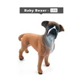 Baby Boxer