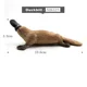 Duckbill