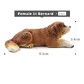 Female St Bernard