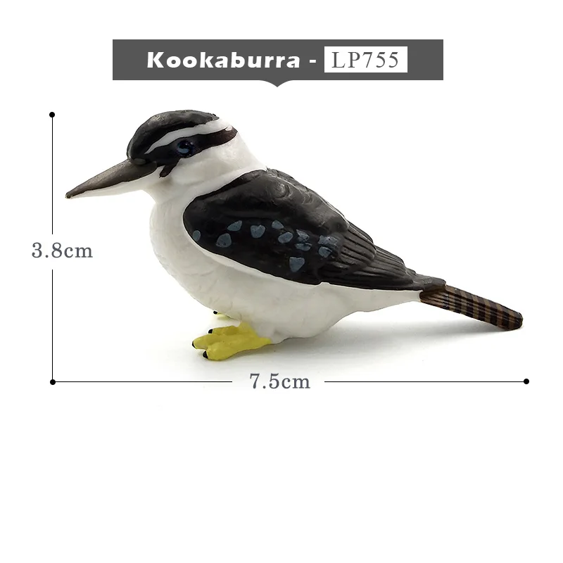 Kookaburra