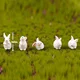 5pcs mini rabbits