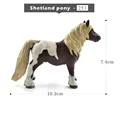 Shetland pony