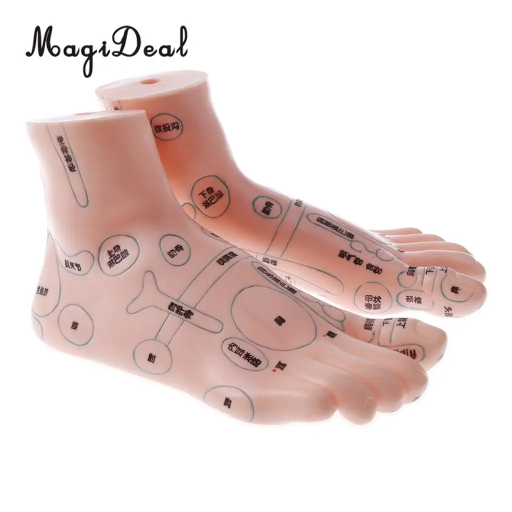 2 Pieces 19cm Massage Acupuncture Feet Model Set Reflexology Acupoint Medical School Teaching Tool Learning Display