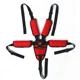 universal belt Red