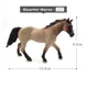 Quarter Horse