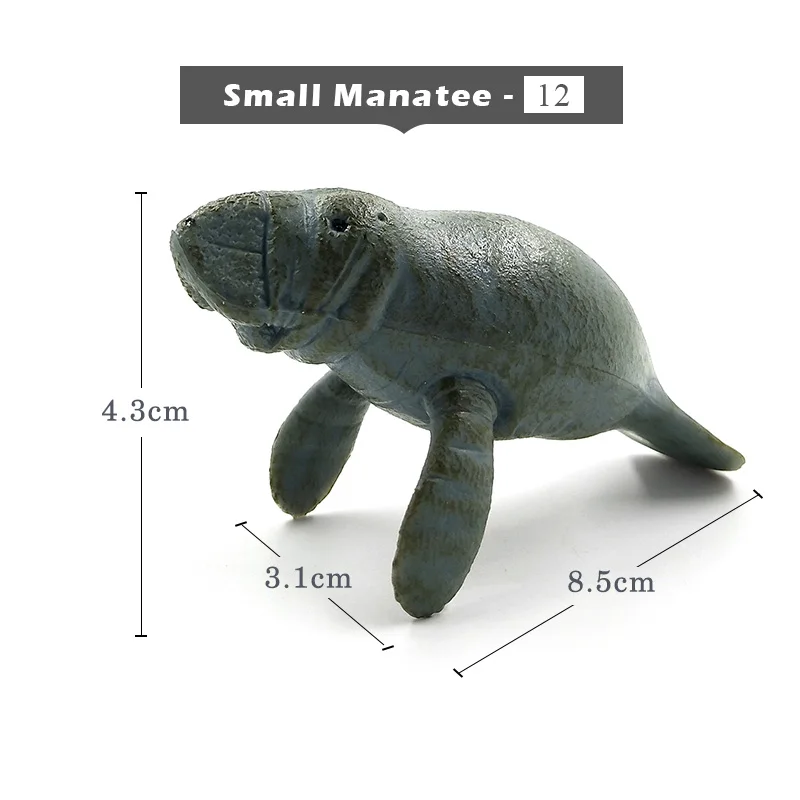 Small Manatee-a