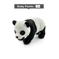 Baby Panda