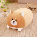 corgi