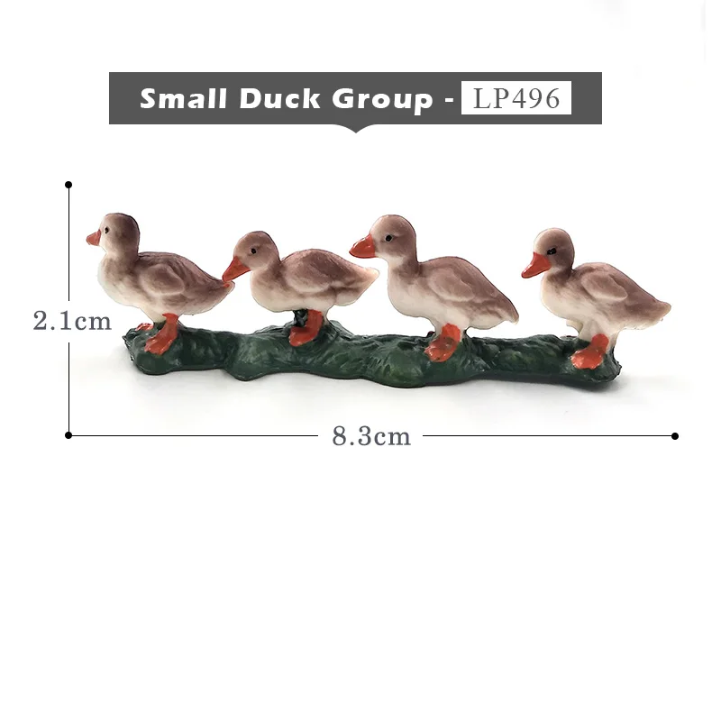 Small Duck Group - B
