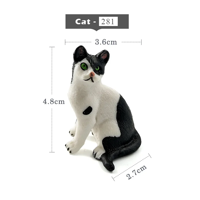 Cat - MY281