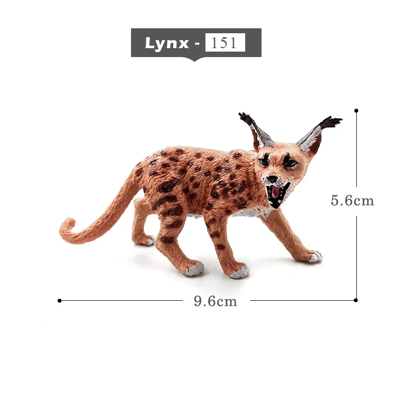 Lynx