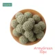 ArmyGreen