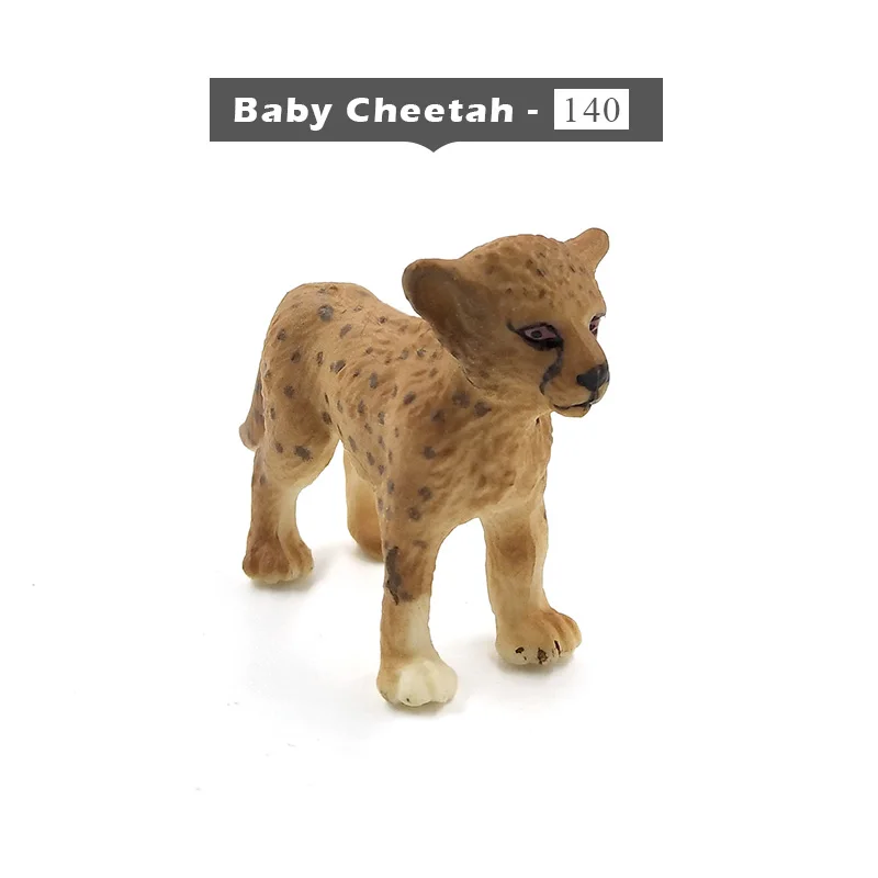Baby Cheetah