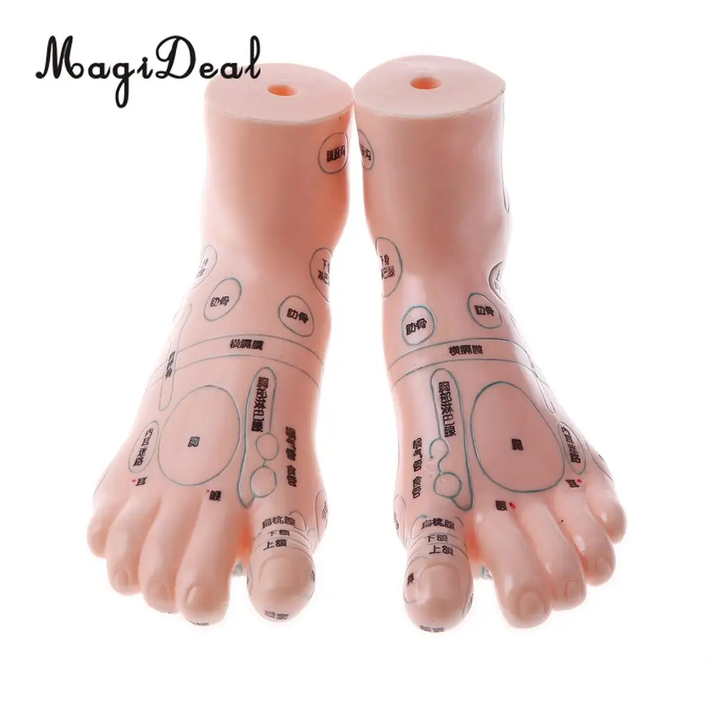 2 Pieces 19cm Massage Acupuncture Feet Model Set Reflexology Acupoint Medical School Teaching Tool Learning Display
