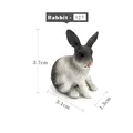 Rabbit -  b