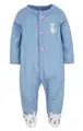 Blue cat white