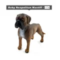 Neapolitan Mastiff
