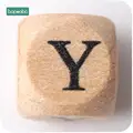 Letter Y