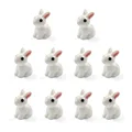 10pcs