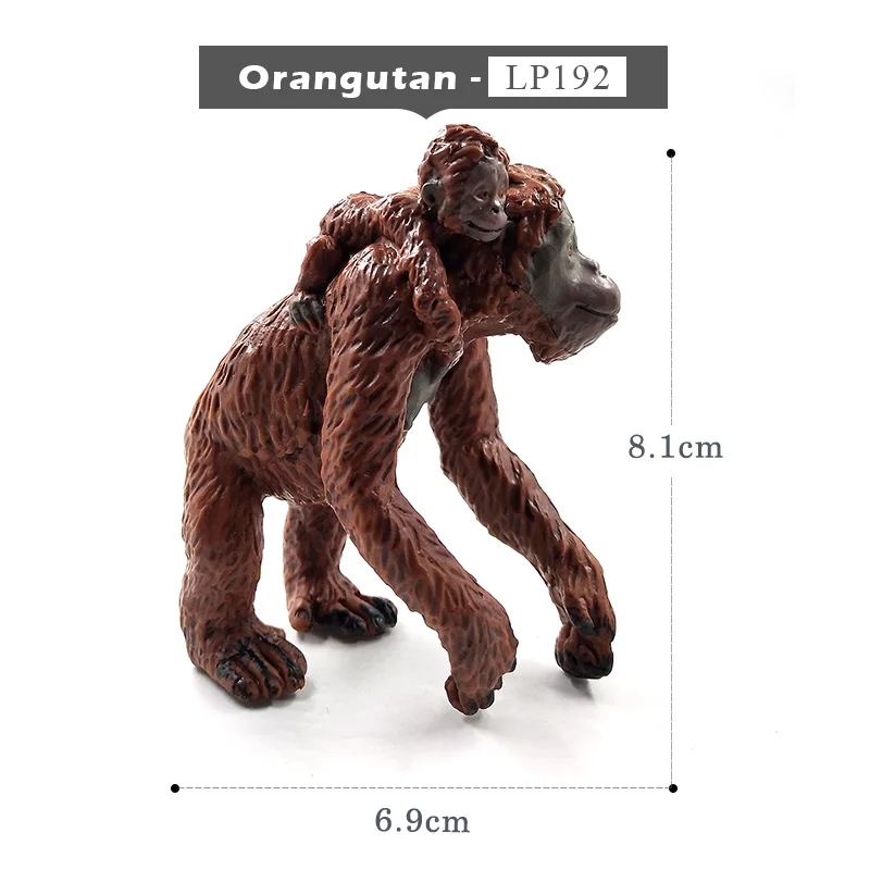 Orangutan