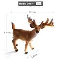 Buck Deer