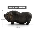 Black Pig