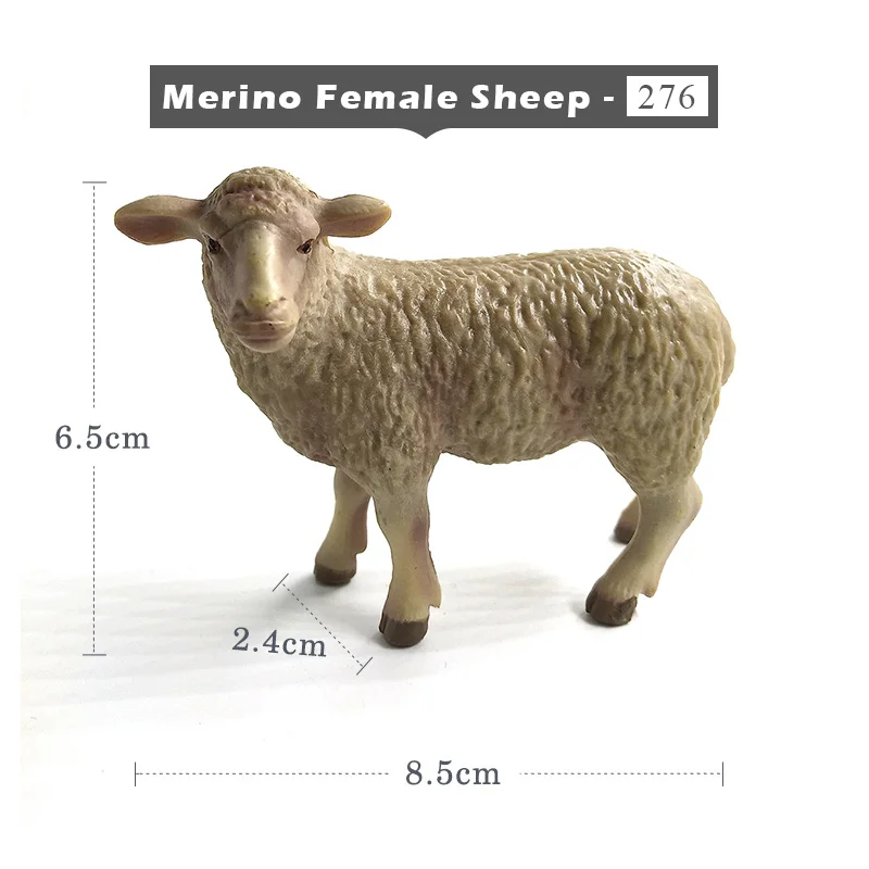 Merino Female Sheep