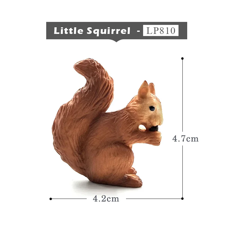 Little Squirrel