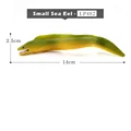 Small Sea Eel