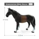 Hanoverian Male Hors