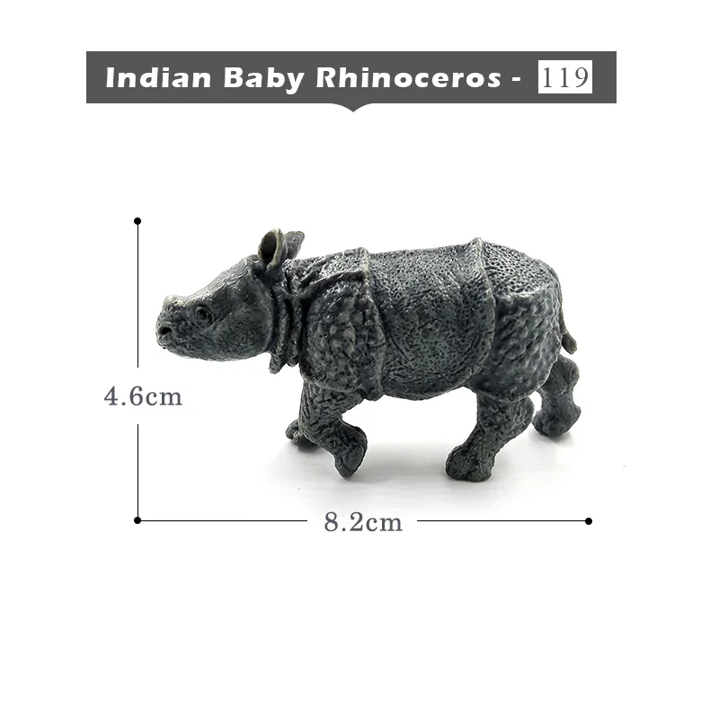 Indian- Rhinoceros
