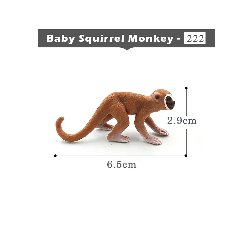 Baby Squirrel Monkey