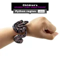 Python regius