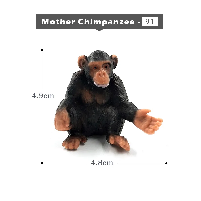 Mother-Chimpanzee