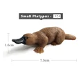 Small Platypus