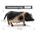 Vietnamese Pig