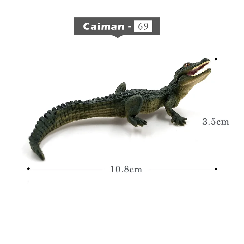 Caiman