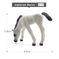 Lipizzan Horse