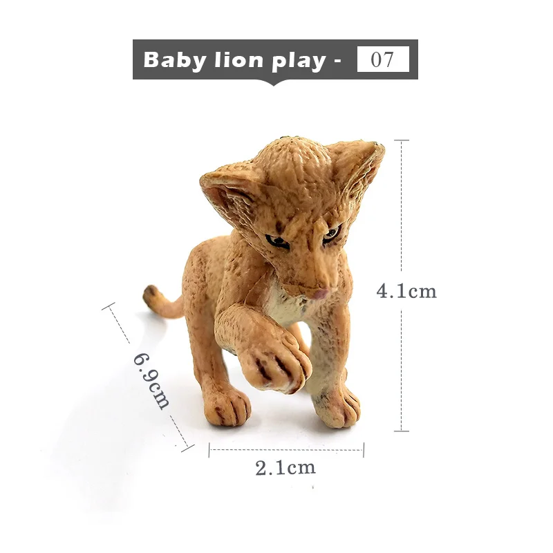 Baby-lion-play