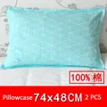 2 pcs pillowcases H