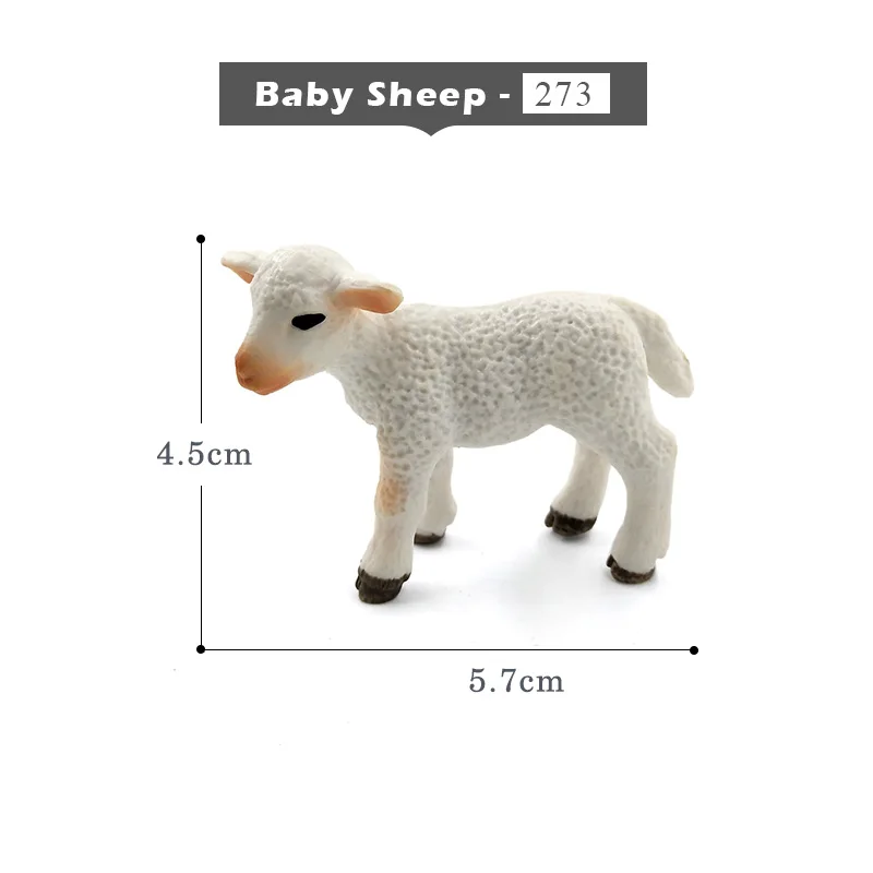 Baby-Sheep